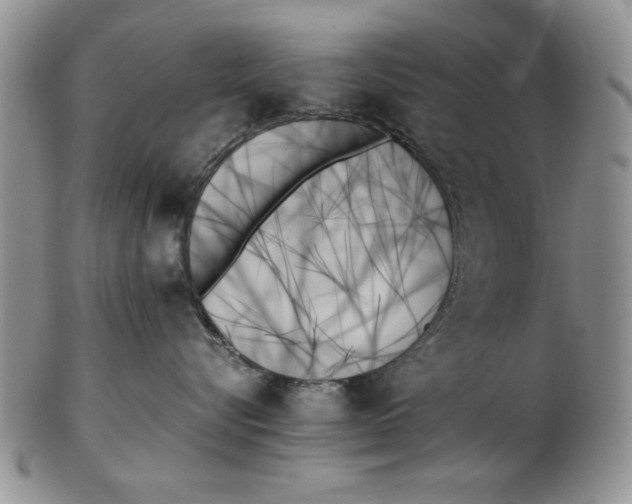 X0000102260576200808221418