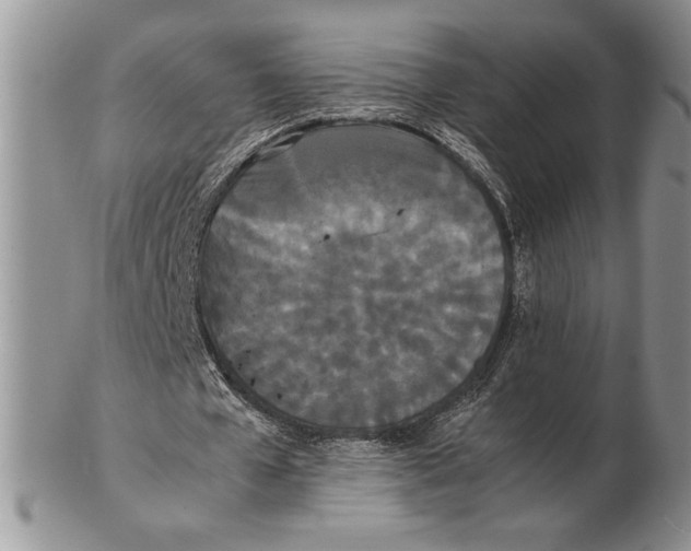 X0000102260577200808221417