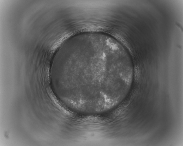 X0000102260581200808221417