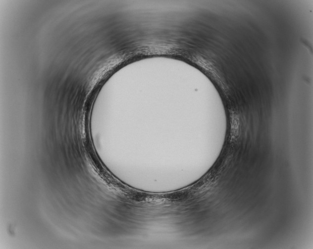 X0000102260582200808221417