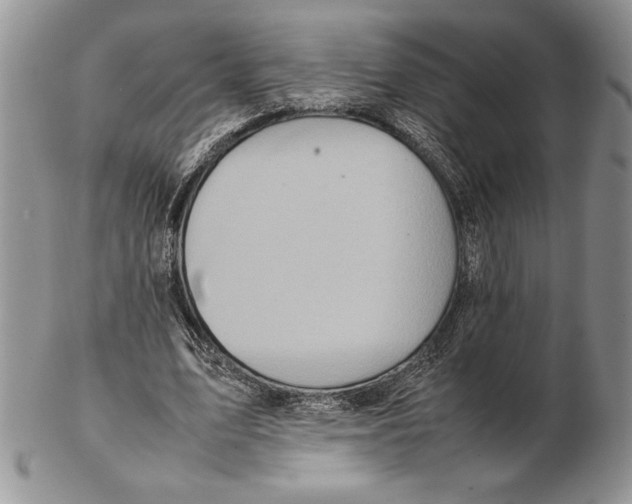 X0000102260583200808221417