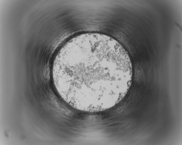 X0000102260584200808221417