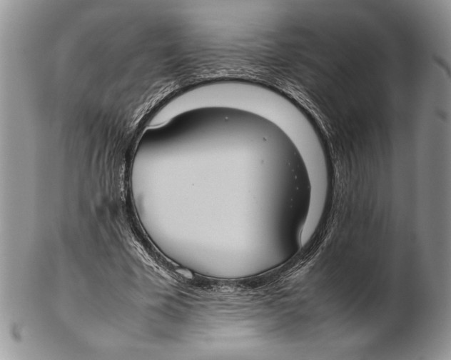 X0000102260585200808221417