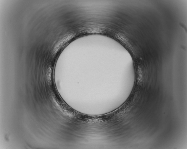 X0000102260586200808221417
