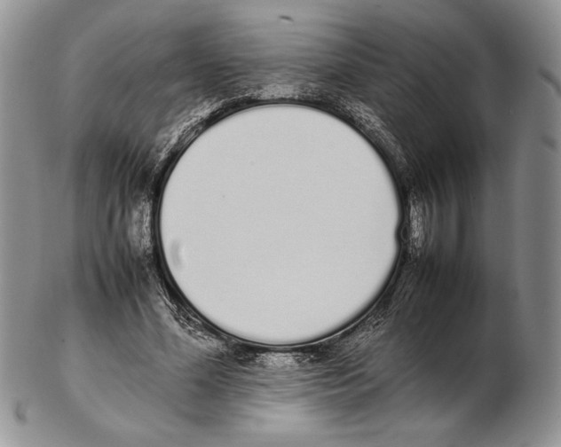 X0000102260588200808221417