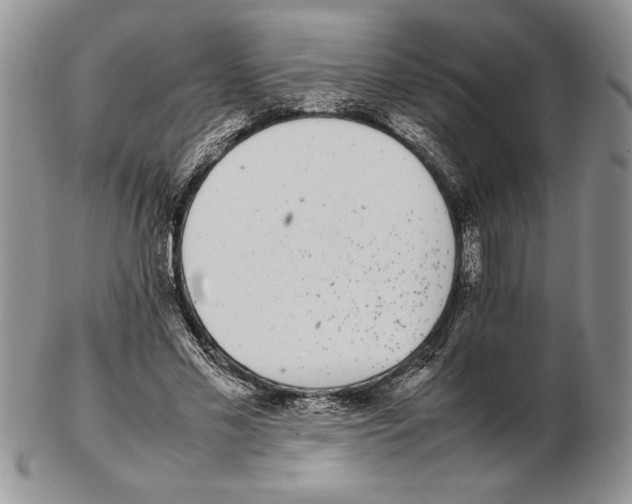 X0000102260589200808221417