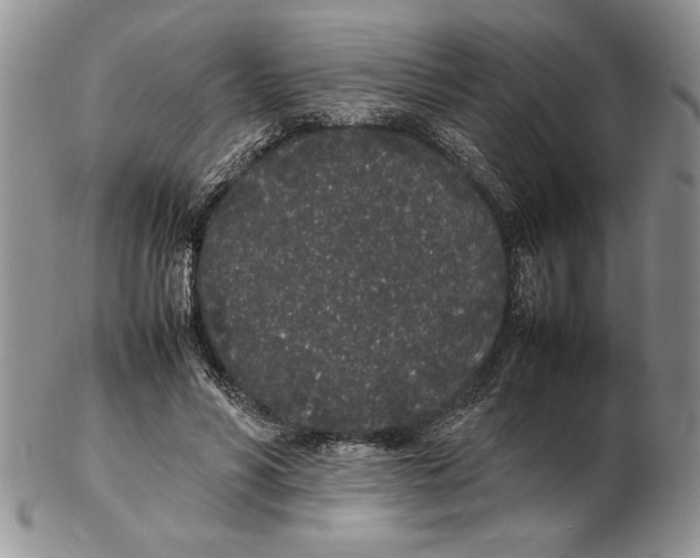 X0000102260590200808221417