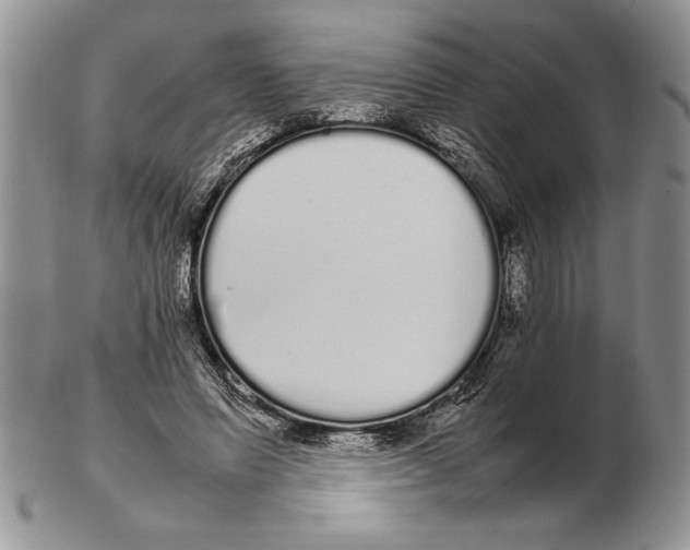 X0000102260591200808221417