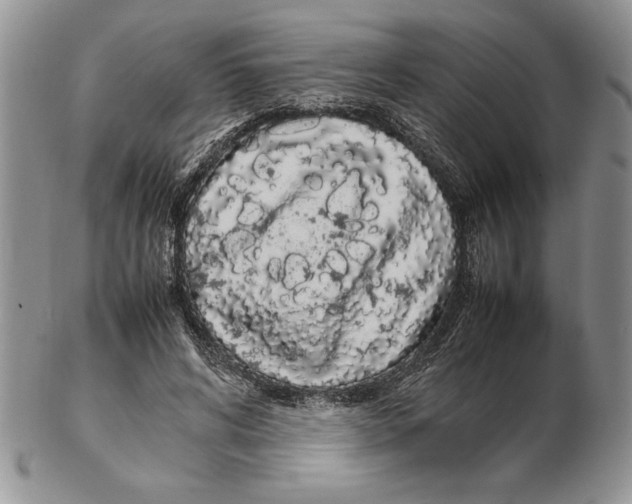 X0000102260592200808221417
