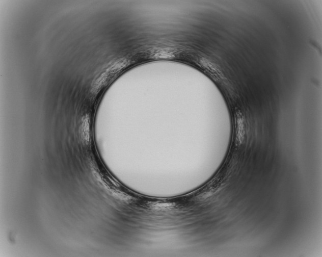 X0000102260594200808221417