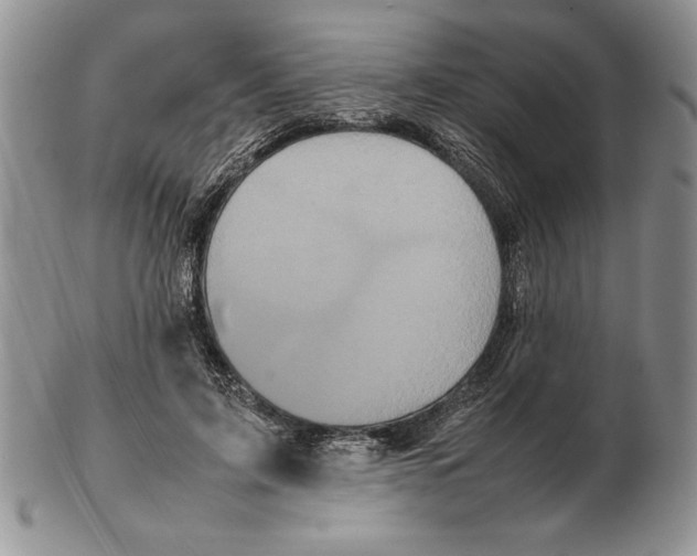X0000102260595200808221417