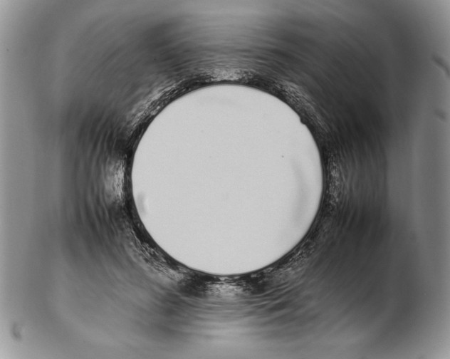 X0000102260596200808221417
