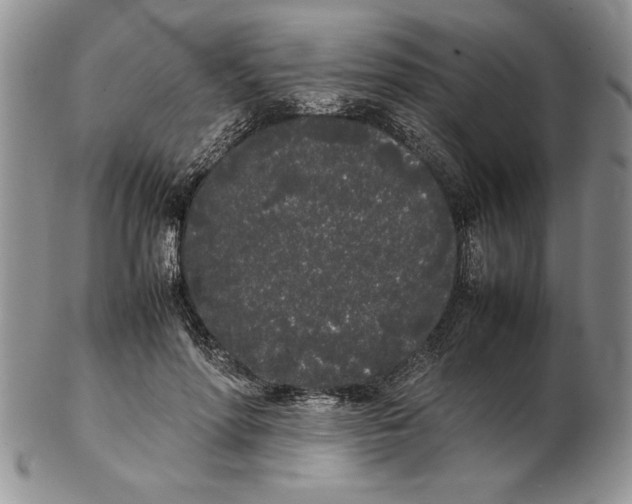 X0000102260598200808221417