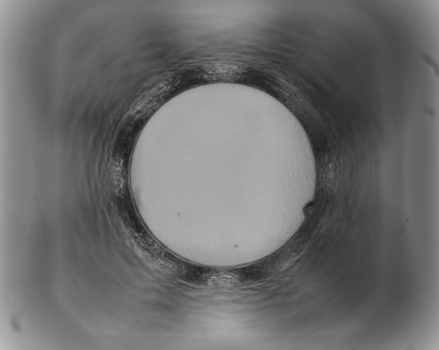 X0000102260599200808221417