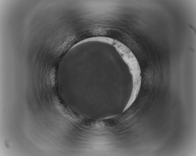 X0000102260600200808221417
