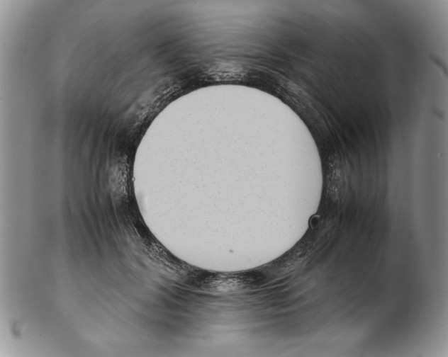 X0000102260604200808221417