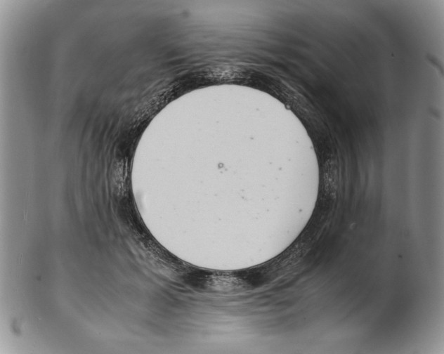 X0000102260605200808221417