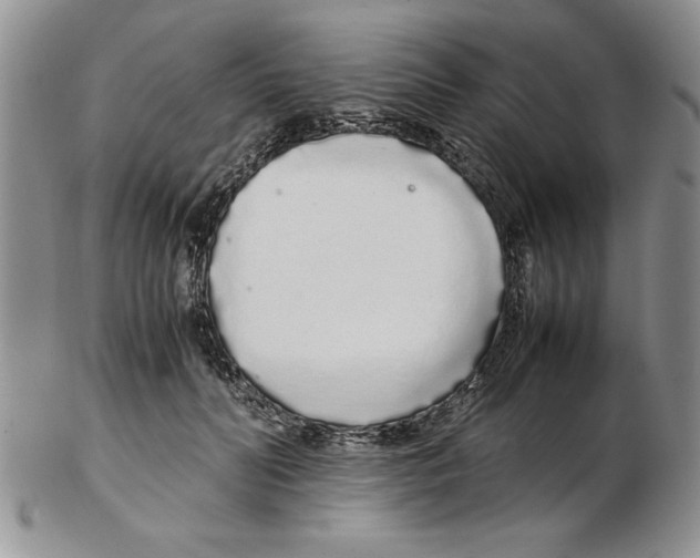 X0000102260606200808221417