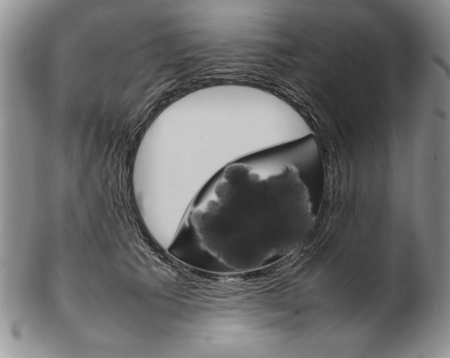 X0000102260609200808221417