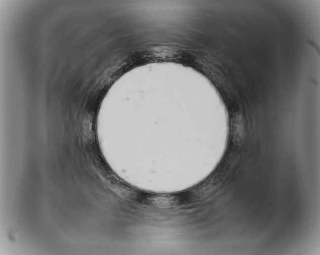 X0000102260615200808221416