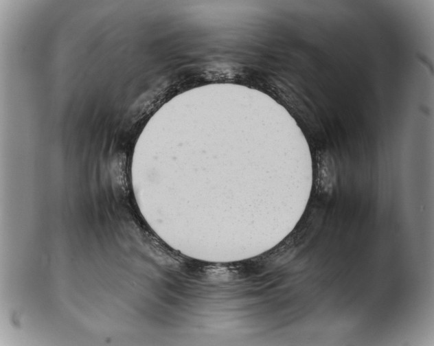 X0000102260616200808221416