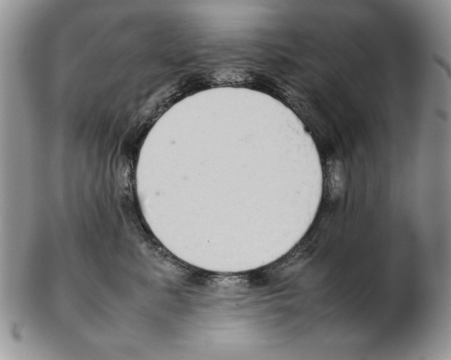 X0000102260619200808221416