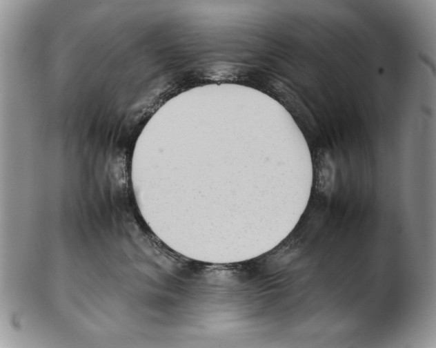 X0000102260620200808221416