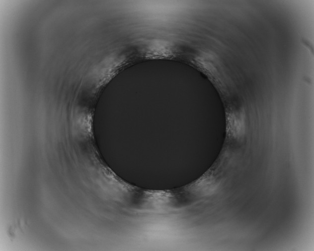 X0000102260621200808221416