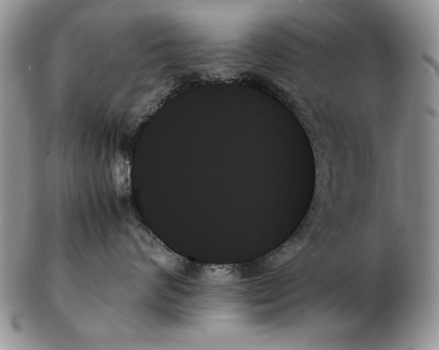 X0000102260624200808221416