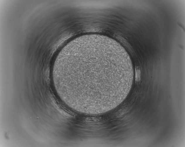 X0000102260627200808221416