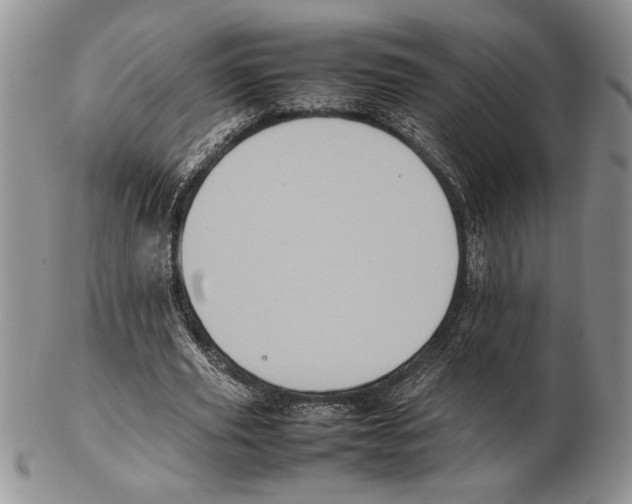 X0000102260629200808221416