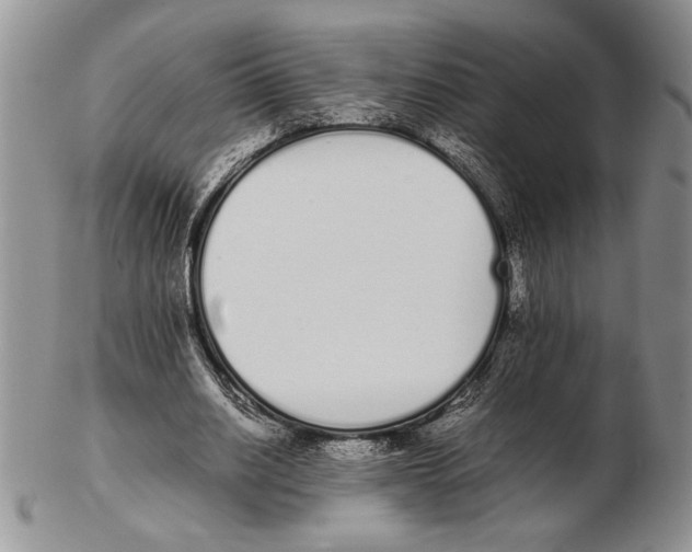 X0000102260630200808221416