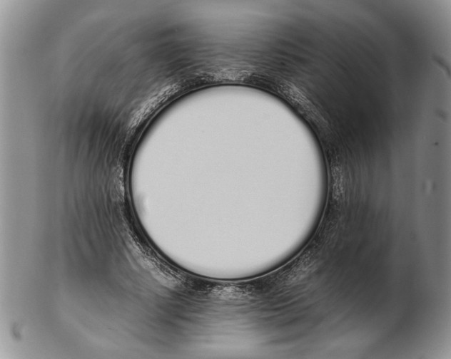 X0000102260634200808221416