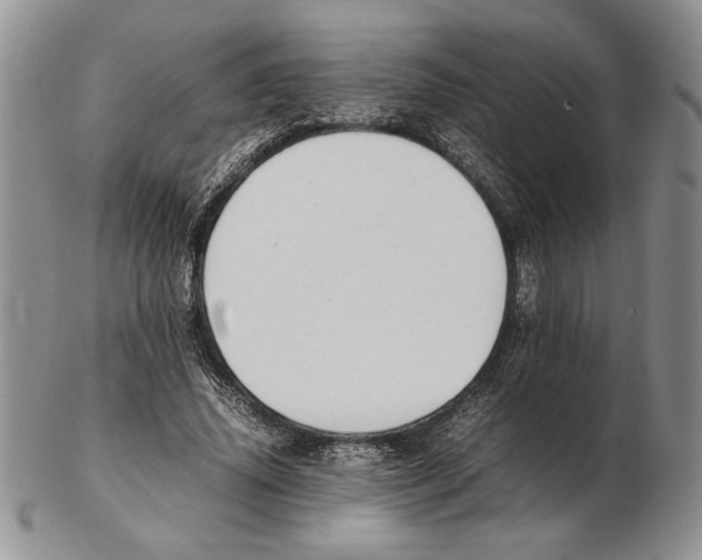 X0000102260636200808221416