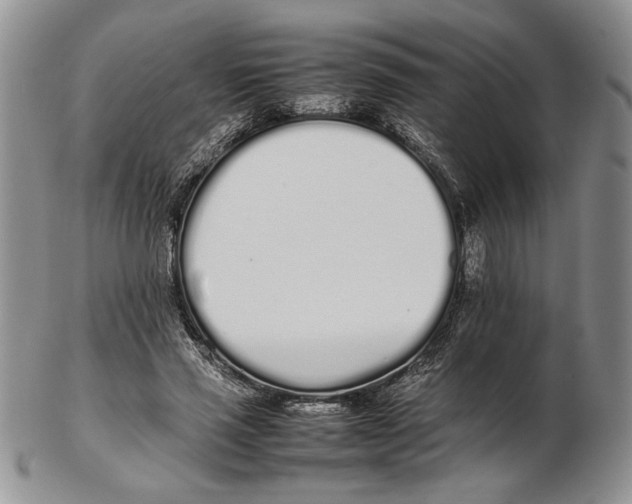 X0000102260637200808221416