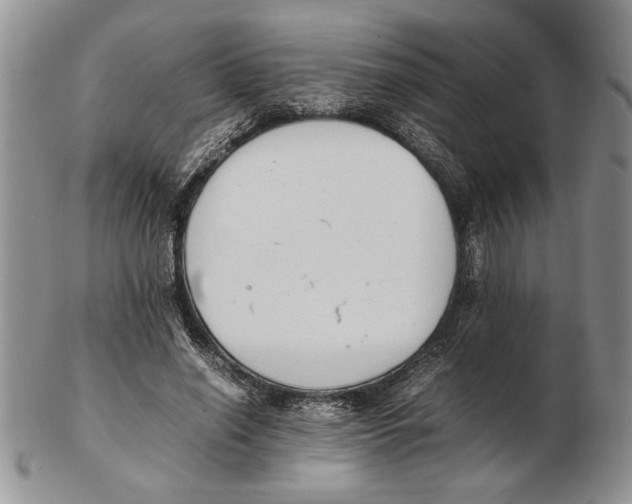 X0000102260638200808221416
