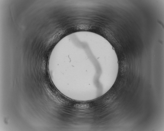 X0000102260639200808221416