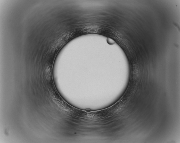X0000102260641200808221416