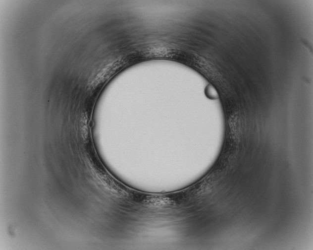 X0000102260642200808221416