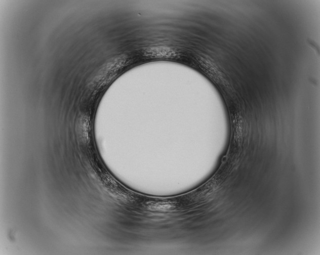 X0000102260643200808221416