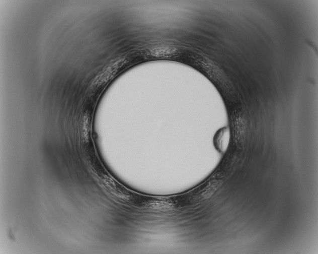 X0000102260644200808221416