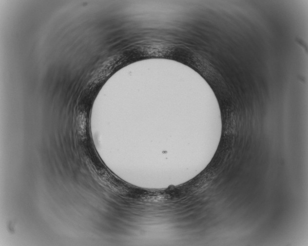 X0000102260646200808221416
