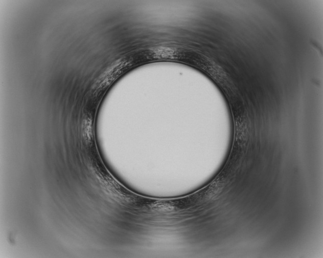 X0000102260648200808221416