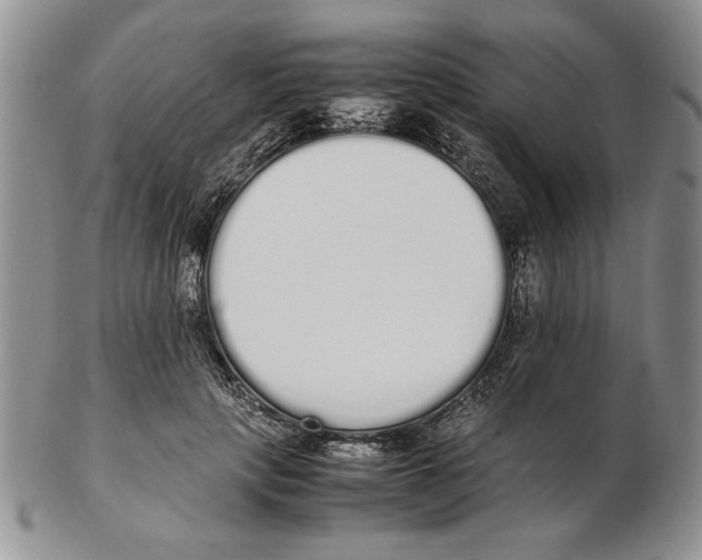 X0000102260649200808221416