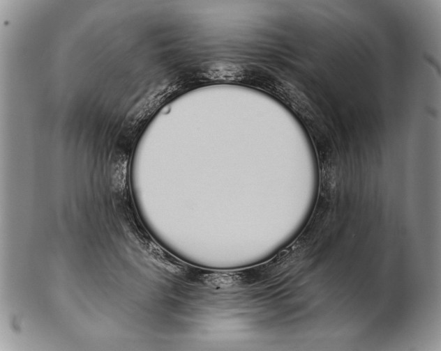 X0000102260652200808221416