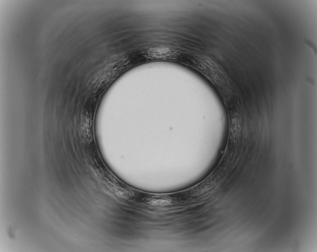 X0000102260653200808221416
