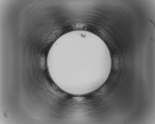 X0000102260654200808221416