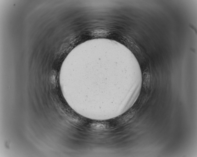 X0000102260655200808221416