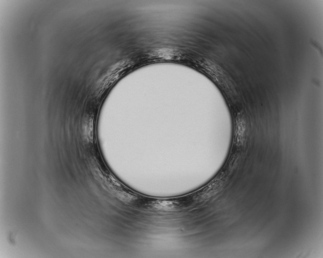 X0000102260656200808221416