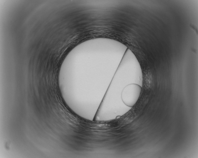 X0000102260657200808221416